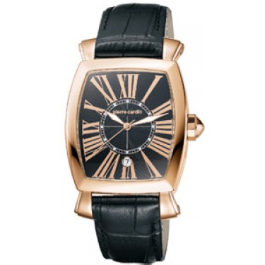 Мужские наручные часы Pierre Cardin PC100261F03