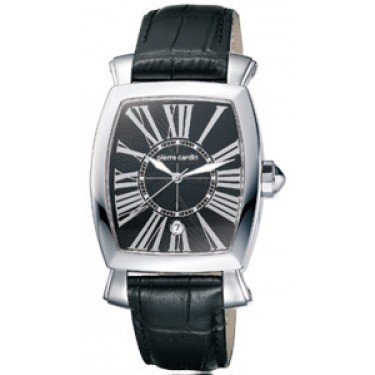 Мужские наручные часы Pierre Cardin PC100261F04