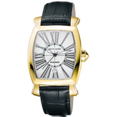 Мужские наручные часы Pierre Cardin PC100281F04