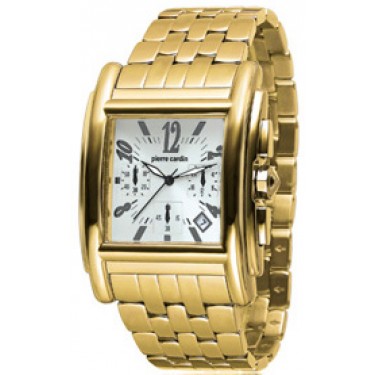 Мужские наручные часы Pierre Cardin PC100511F01