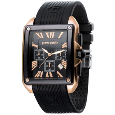 Мужские наручные часы Pierre Cardin PC100591F01