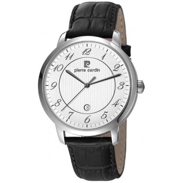 Мужские наручные часы Pierre Cardin PC106311F02