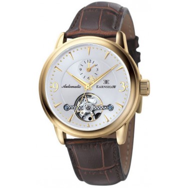 Мужские наручные часы Thomas Earnshaw ES-8003-04
