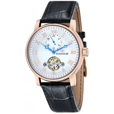 Мужские наручные часы Thomas Earnshaw ES-8042-03