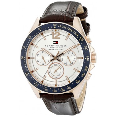 Мужские наручные часы Tommy Hilfiger 1791118
