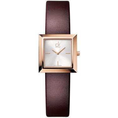 Женские наручные часы Calvin Klein K3R236G6