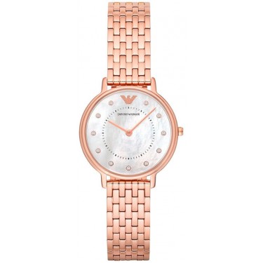 Женские наручные часы Emporio Armani AR11006