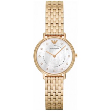 Женские наручные часы Emporio Armani AR11007