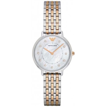 Женские наручные часы Emporio Armani AR2508