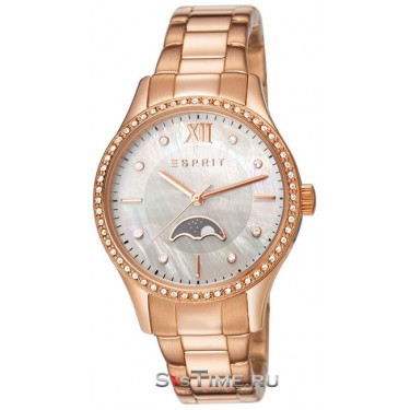 Женские наручные часы Esprit ES107002002