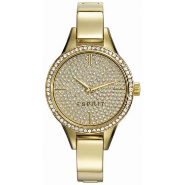 Женские наручные часы Esprit ES109062002