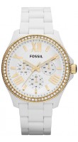 Fossil AM4493