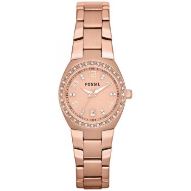 Женские наручные часы Fossil AM4508