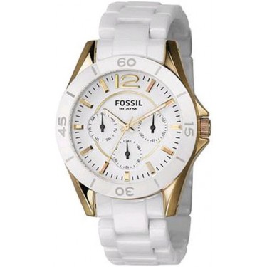 Женские наручные часы Fossil CE1006