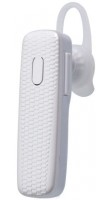 BandRate Smart BRSTWSSGS101W