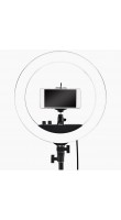 BandRate Smart BRSRL12BB