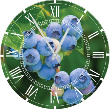 Настенные часы SvS 3001287 Kitchen Голубика