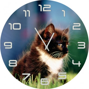 Настенные часы SvS 3001847 Черно-белый котенок