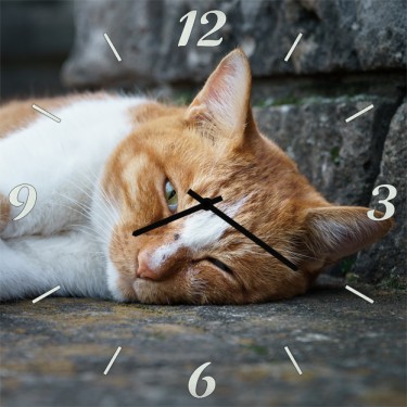 Настенные часы SvS 3001852 Дремлющий рыжий кот