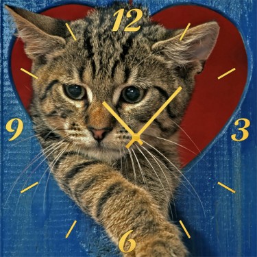 Настенные часы SvS 3001856 Расстроеный кот