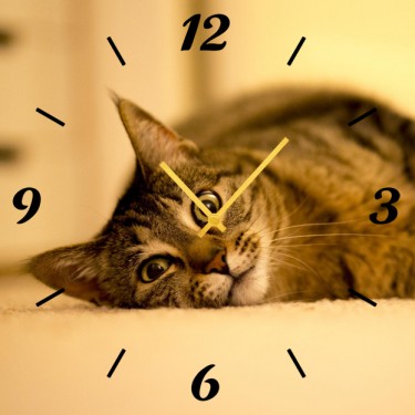 Настенные часы SvS 3001866 Смотрящий кот