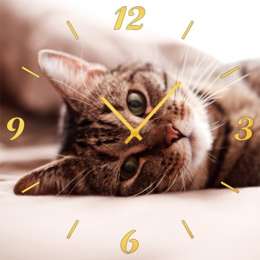 Настенные часы SvS 3001868 Лежащий кот