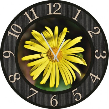 Настенные часы SvS 3002245 Ромашка в черной рамке