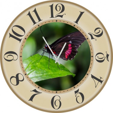Настенные часы SvS 3002287 Бабочка на листве