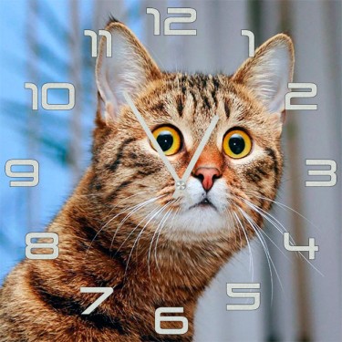Настенные часы SvS 3002512 Удивленный кот