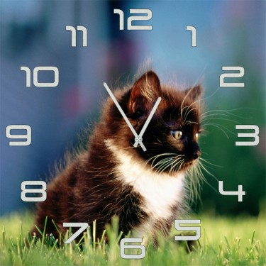 Настенные часы SvS 4001846 Черно-белый котенок