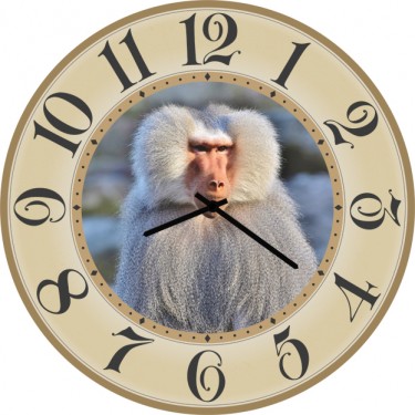Настенные часы SvS 4002231 Смешной обезьян
