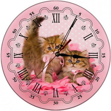 Настенные интерьерные часы Akita C14