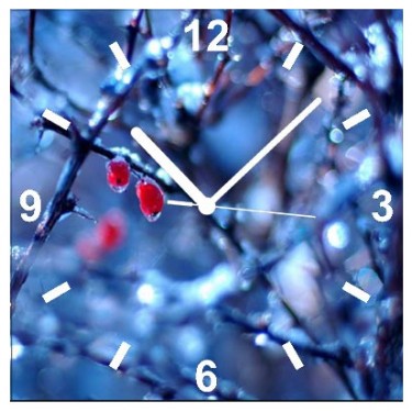 Настенные интерьерные часы Glass Clock 28x28-Природа-023