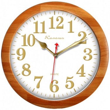 Настенные интерьерные часы Камелия 0218151