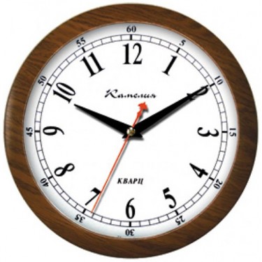 Настенные интерьерные часы Камелия 0251857