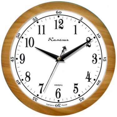 Настенные интерьерные часы Камелия 0305442