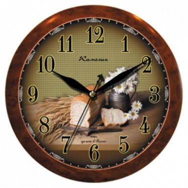 Настенные интерьерные часы Камелия 0332304