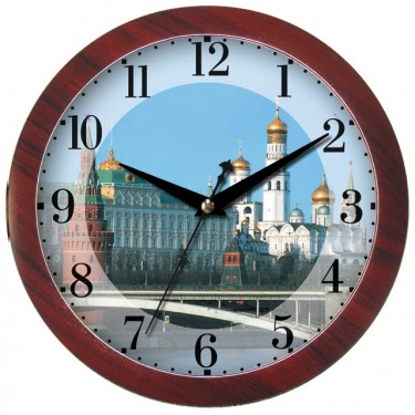 Настенные интерьерные часы Камелия 098053 Москва