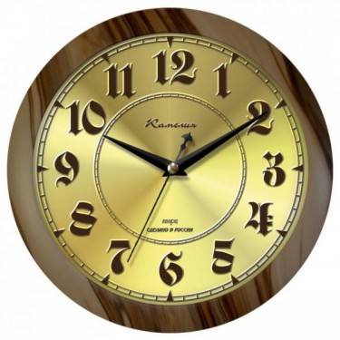 Настенные интерьерные часы Камелия 4145580