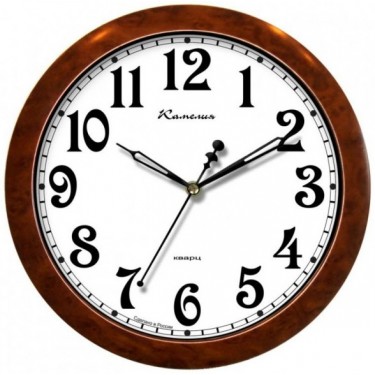 Настенные интерьерные часы Камелия 4212304