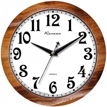 Настенные интерьерные часы Камелия 4213172