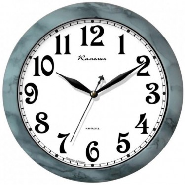 Настенные интерьерные часы Камелия 4214775