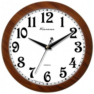 Настенные интерьерные часы Камелия 4215093