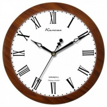 Настенные интерьерные часы Камелия 4505093