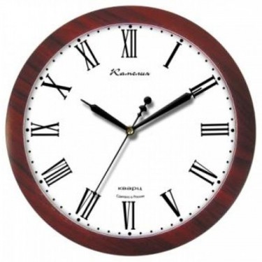 Настенные интерьерные часы Камелия 4508053