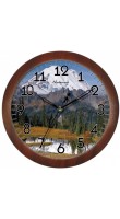 Камелия 0051123
