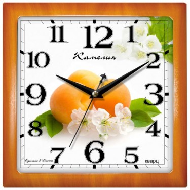 Настенные интерьерные часы Камелия 9045416