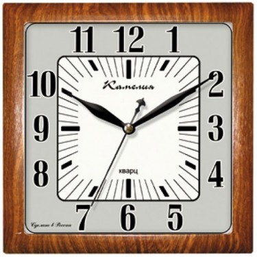 Настенные интерьерные часы Камелия 9901055