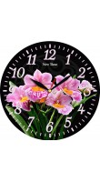 New Time A61