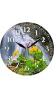 New Time A62